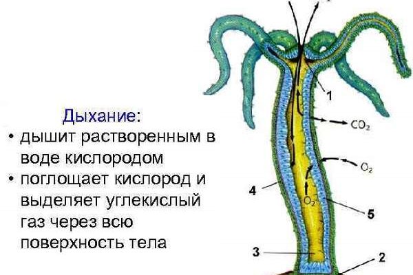 Кракен дарк оригинал ссылка