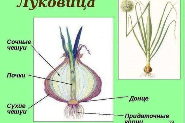Кракен тор что это